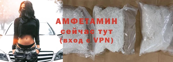 шишки Арсеньев