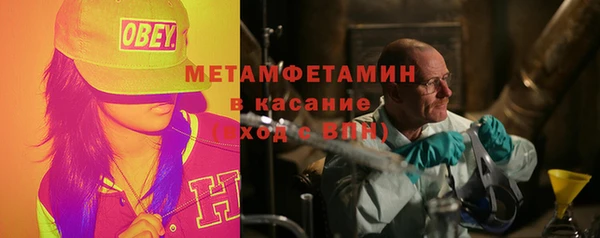 шишки Арсеньев