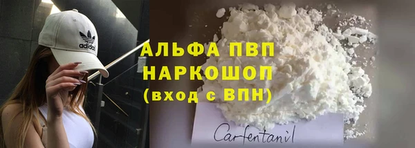 шишки Арсеньев