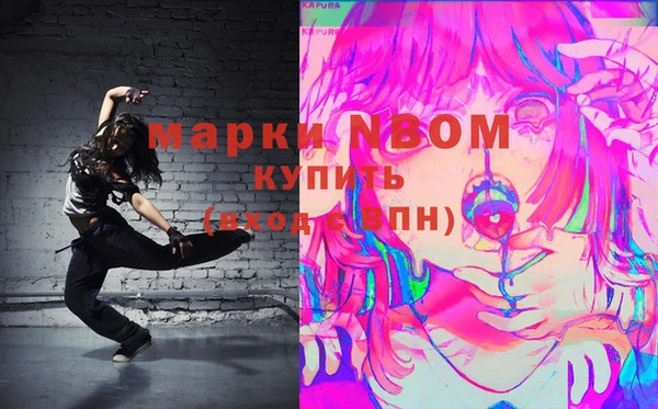 шишки Арсеньев